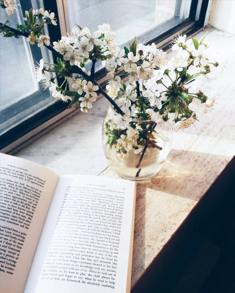 Книга цветы