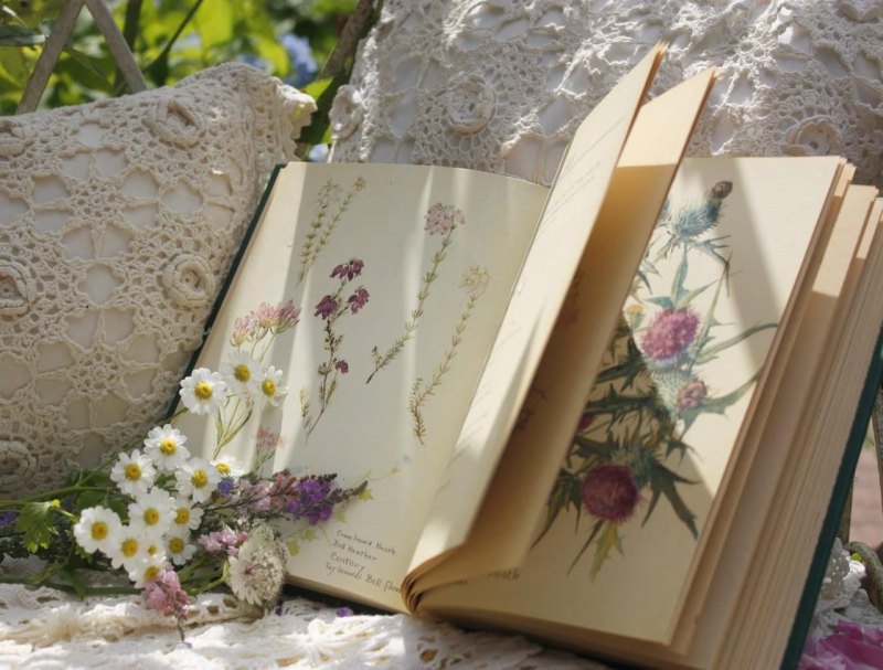 Бордюр книги