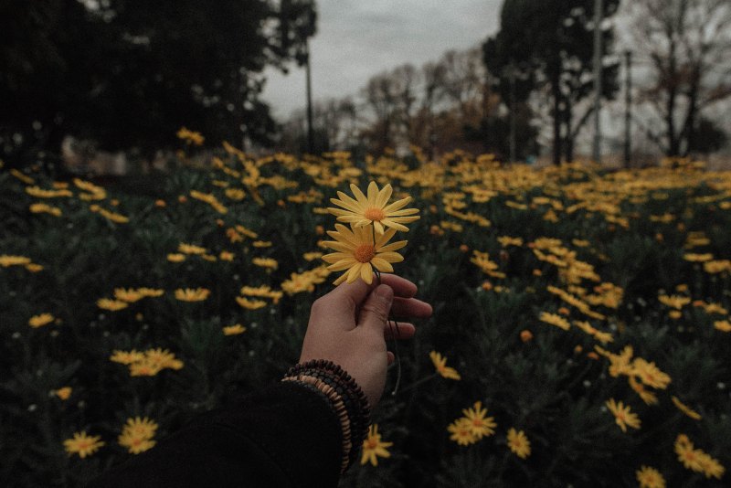 Эстетика коллаж Спенсер Хастингс