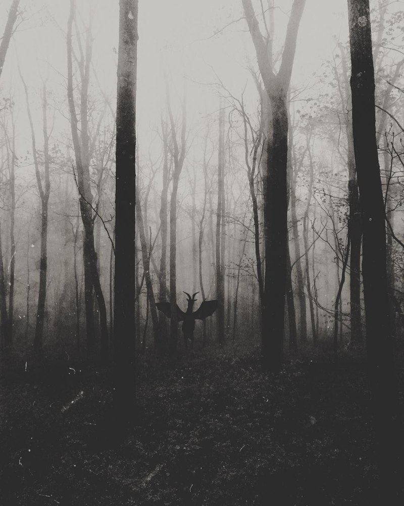 Dark Эстетика