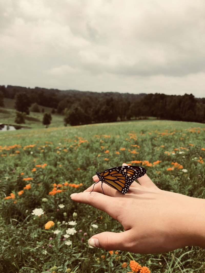 Летняя Эстетика