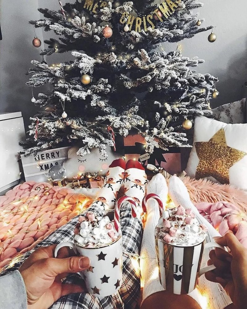 Пикник с друзьями Эстетика