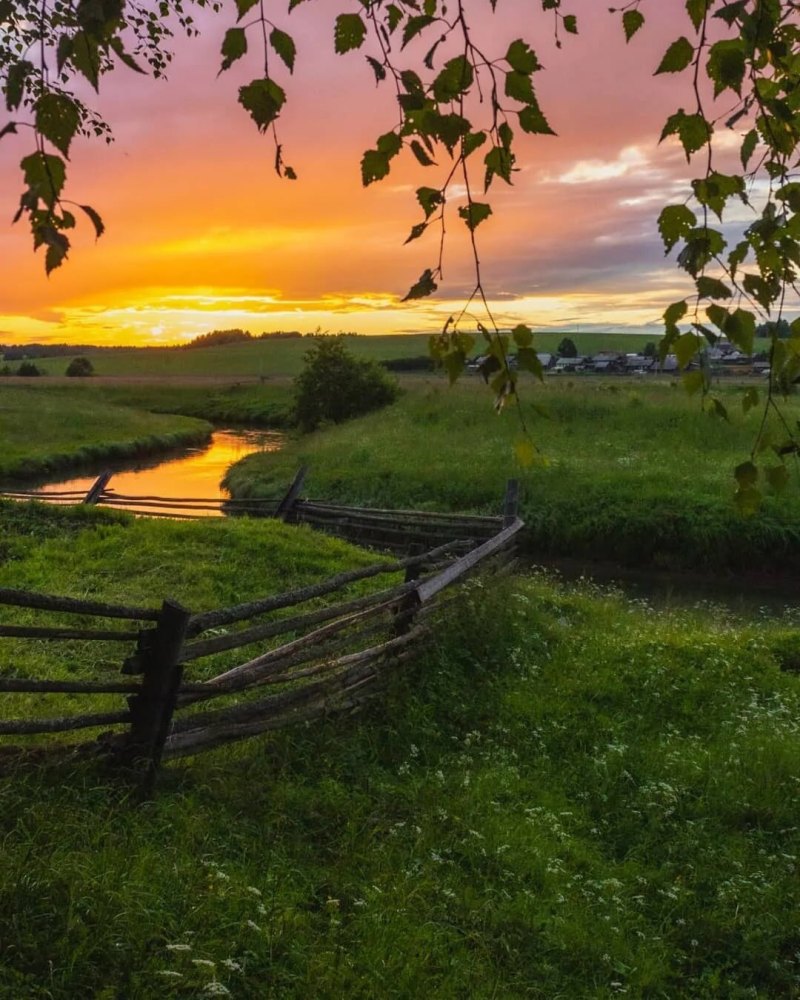 Природа деревня