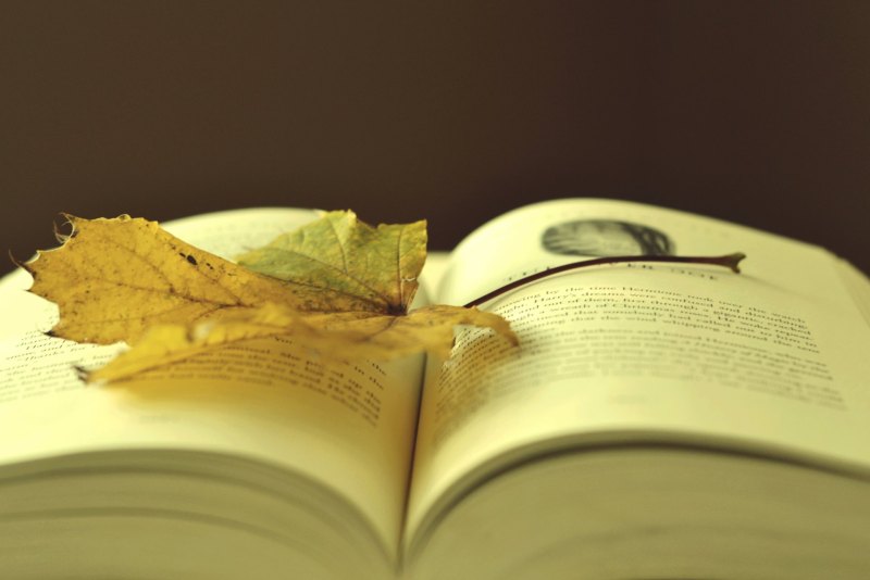Полка для книг
