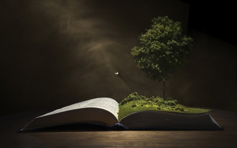 Куча разбросанных книг