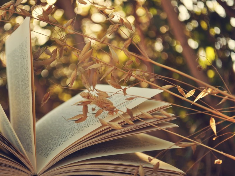 Стопка книг на столе