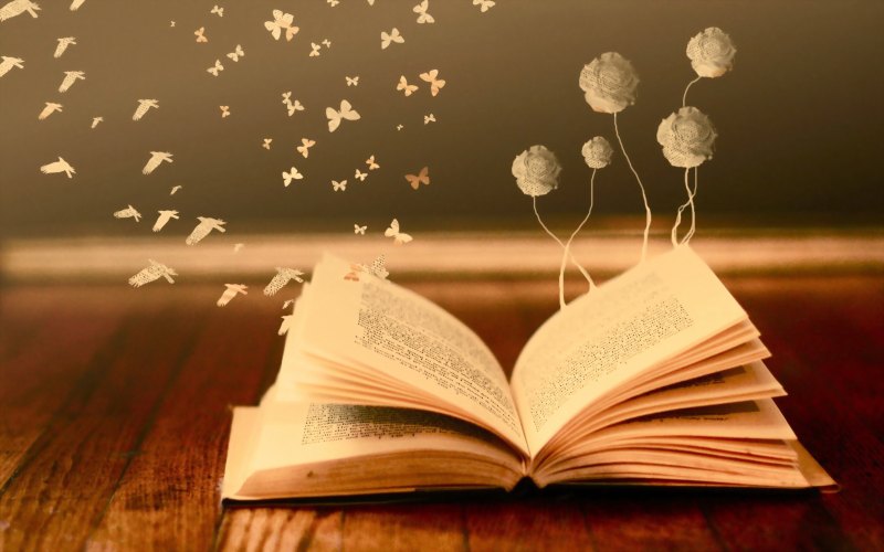 Фотосессия с книгами