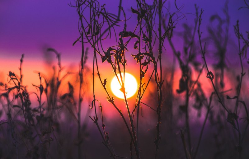 Сумерки природа