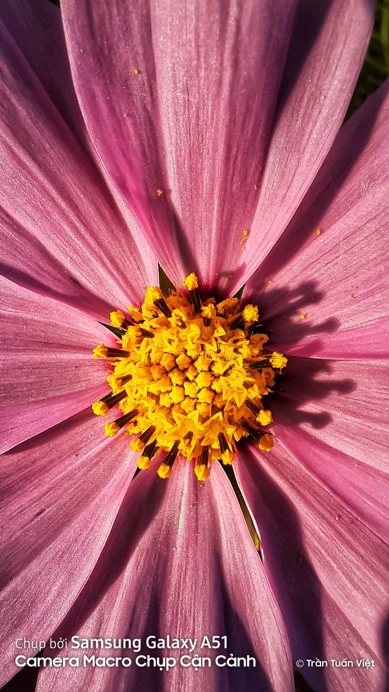 Samsung Galaxy a51 Camera