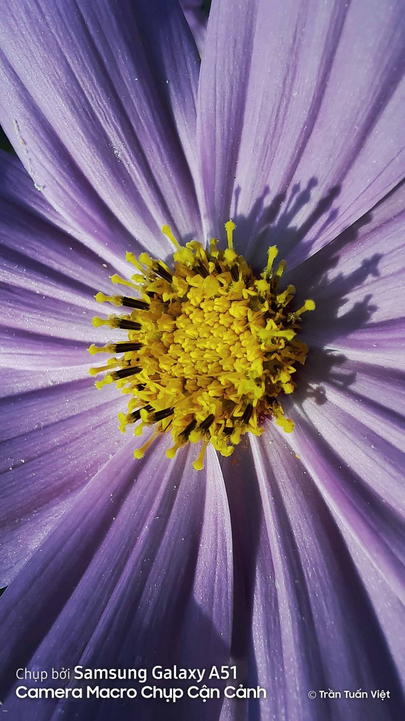 Samsung Galaxy a51 Camera