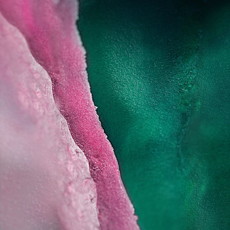 Samsung Galaxy s10e фронтальная камера