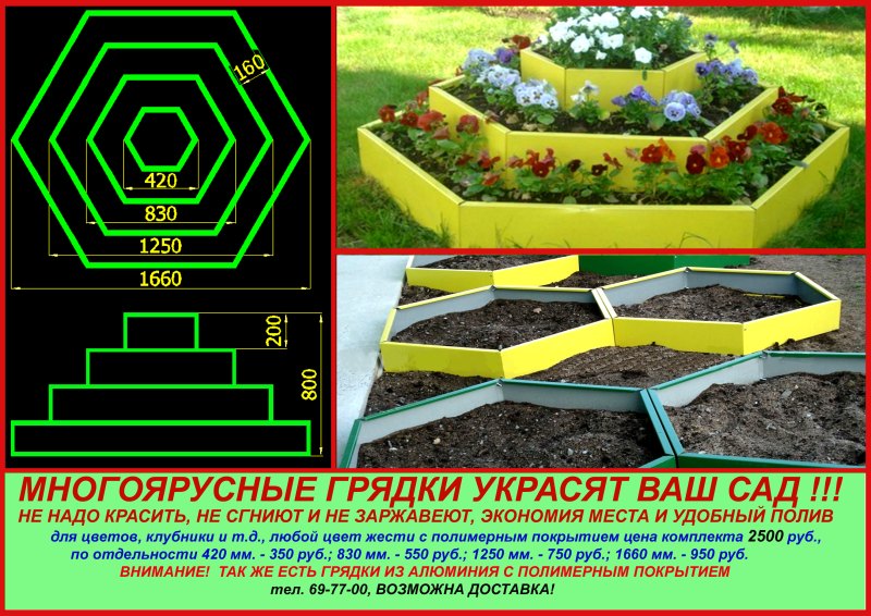 Приствольный круг яблони портулак