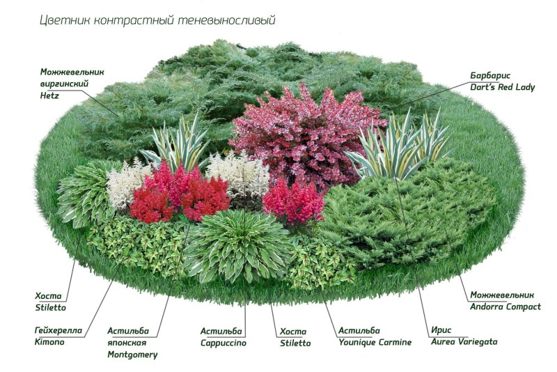 Клумба в виде солнца